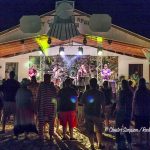 Sleepy Creek SpringDig-5-4-5-18-043