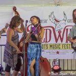 Red Wing VI Roots Music Festival July 14, 2018
