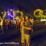 Red Wing VI Roots Music Festival July 14, 2018