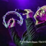 Gin Blossoms