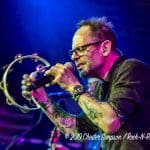 Gin Blossoms