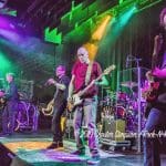 Gin Blossoms