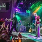 Gin Blossoms