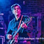 Gin Blossoms