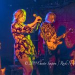 Filthy Friends and Dressy BessyFilthy Friends and Dressy Bessy