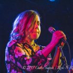 Filthy Friends and Dressy BessyFilthy Friends and Dressy Bessy