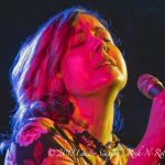 Filthy Friends and Dressy BessyFilthy Friends and Dressy Bessy