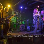 Filthy Friends and Dressy BessyFilthy Friends and Dressy Bessy