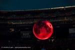 Concert_Parklife_Weeknd_web-8
