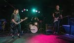 JawboxBlackCat11
