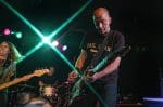 JawboxBlackCat13