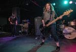 JawboxBlackCat29