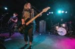 JawboxBlackCat30