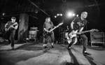 JawboxBlackCat34