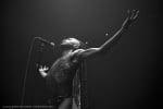 (photo by Katherine Gaines / AmbientEye.com)