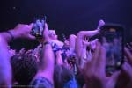 (photo by Katherine Gaines / AmbientEye.com)