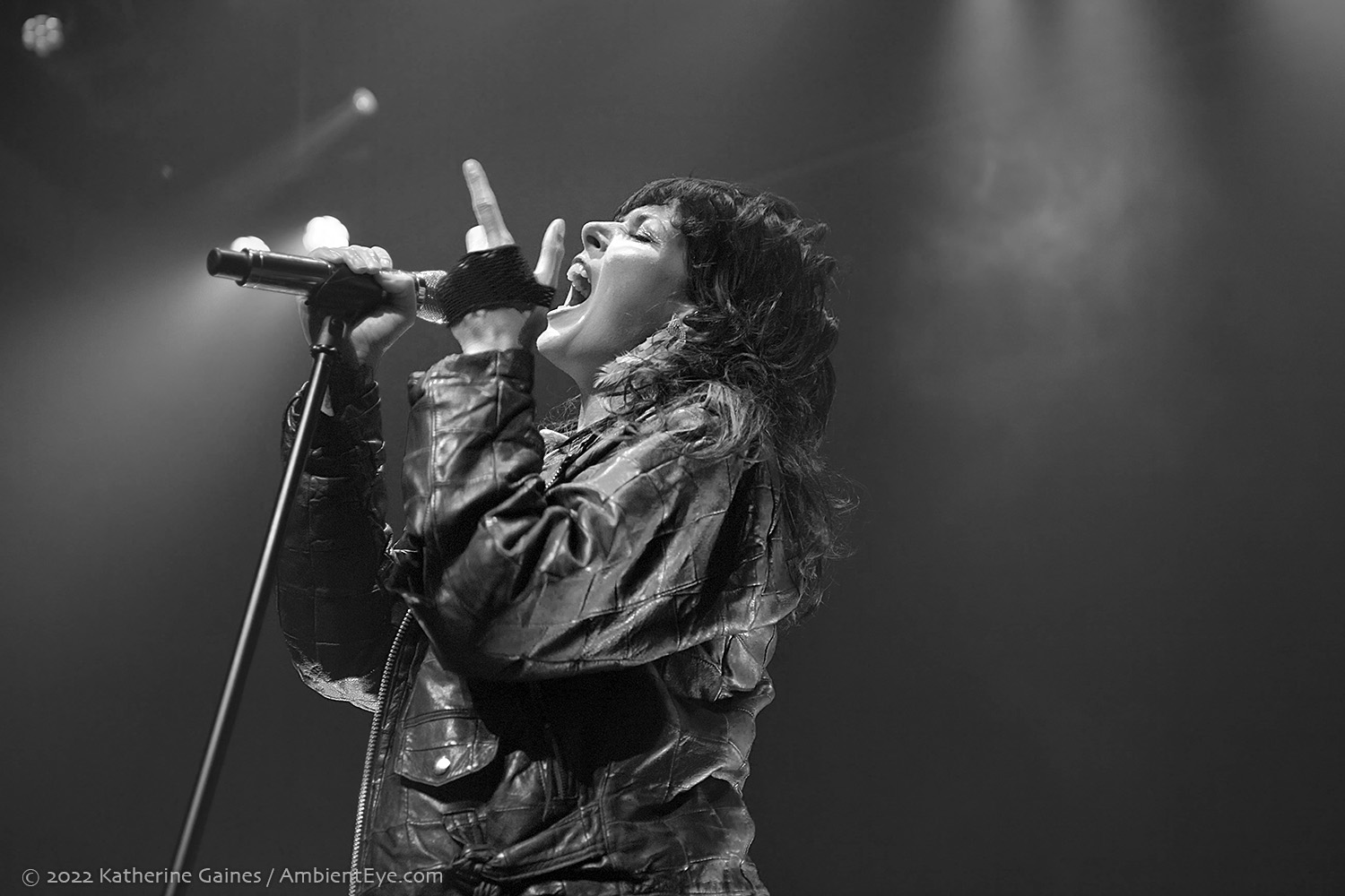 Sleigh Bells
