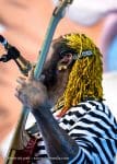Concert_Parklife_Chili_Peppers-1