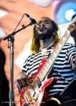 Concert_Parklife_Chili_Peppers-2