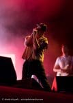 Concert_Parklife_Chili_Peppers-24