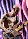 Concert_Parklife_Chili_Peppers-33