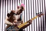 Concert_Parklife_Chili_Peppers-34