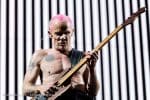 Concert_Parklife_Chili_Peppers-37
