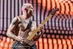 Concert_Parklife_Chili_Peppers-38