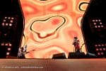 Concert_Parklife_Chili_Peppers-44