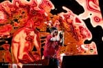 Concert_Parklife_Chili_Peppers-45
