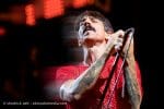 Concert_Parklife_Chili_Peppers-49