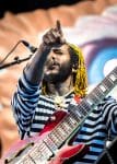 Concert_Parklife_Chili_Peppers-5