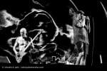 Concert_Parklife_Chili_Peppers-50
