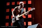 Concert_Parklife_Chili_Peppers-51
