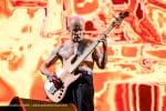 Concert_Parklife_Chili_Peppers-55