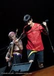 Concert_Parklife_Chili_Peppers-56