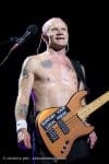 Concert_Parklife_Chili_Peppers-57