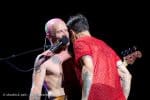 Concert_Parklife_Chili_Peppers-58