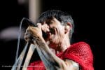 Concert_Parklife_Chili_Peppers-59