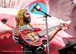 Concert_Parklife_Chili_Peppers-6