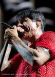 Concert_Parklife_Chili_Peppers-60