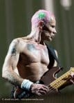 Concert_Parklife_Chili_Peppers-63