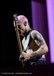 Concert_Parklife_Chili_Peppers-64