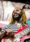 Concert_Parklife_Chili_Peppers-8