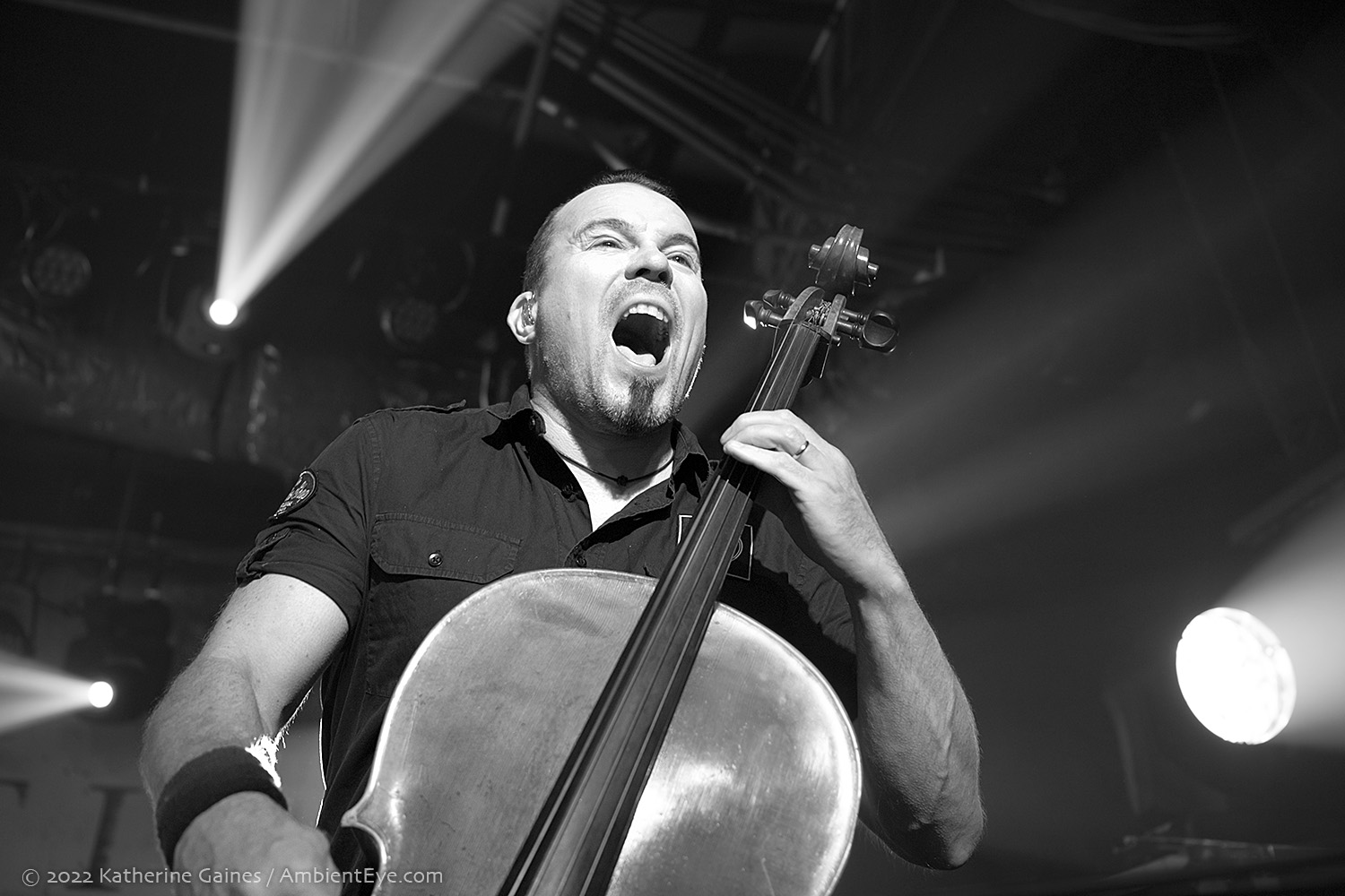 Apocalyptica