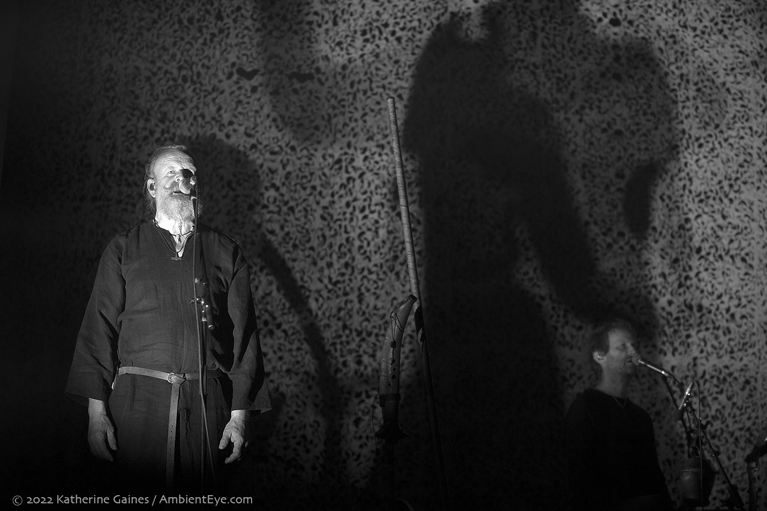 Wardruna