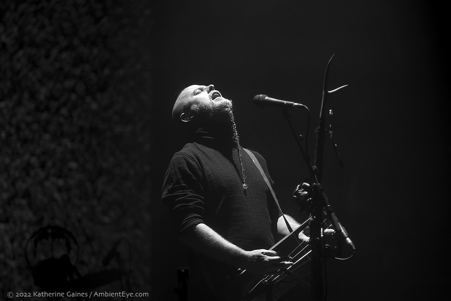 Wardruna