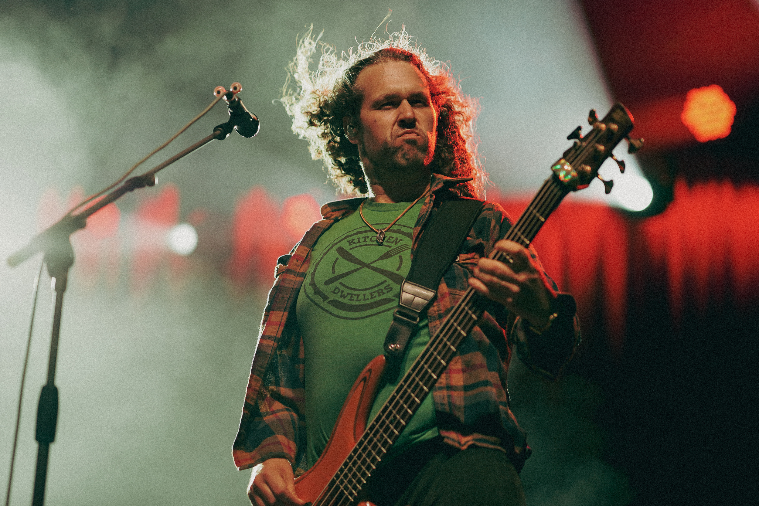 Pigeons Playing Ping Pong