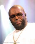 Concert_Parklife_Killer_Mike_High_Holy-32