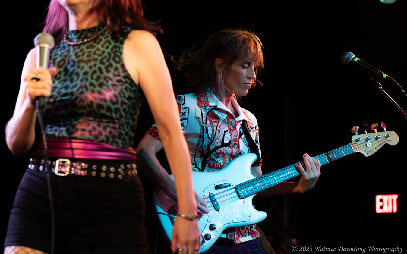 Black Cat Anniversary